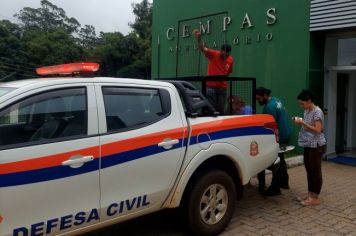 Tamanduá gravemente ferido é resgatado pela Defesa Civil de Taquarituba 