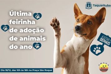 APATA promoverá última feirinha de adoção de animais do ano neste sábado (18)