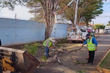 Defesa Civil realiza poda de árvores no centro da cidade e ressalta a importância da participação da comunidade