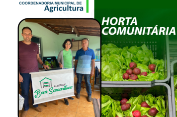 Projeto Municipal de Horta Comunitária fornece verduras e legumes à entidades do município.