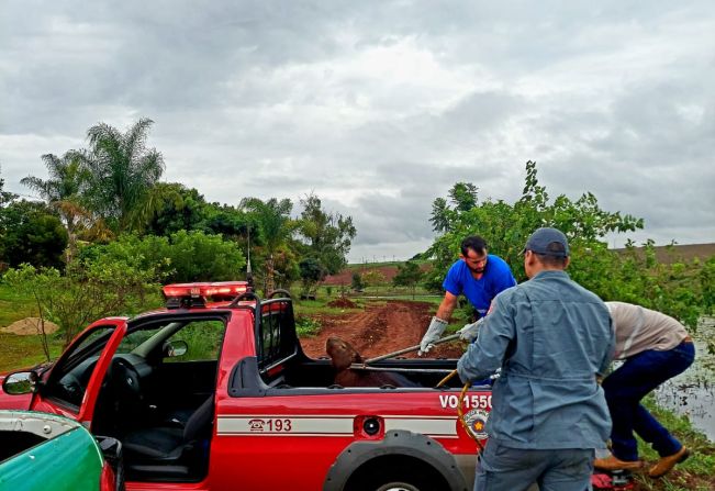 Com auxílio dos Bombeiros de Itaí, Defesa Civil de Taquarituba resgata capivara no centro da cidade
