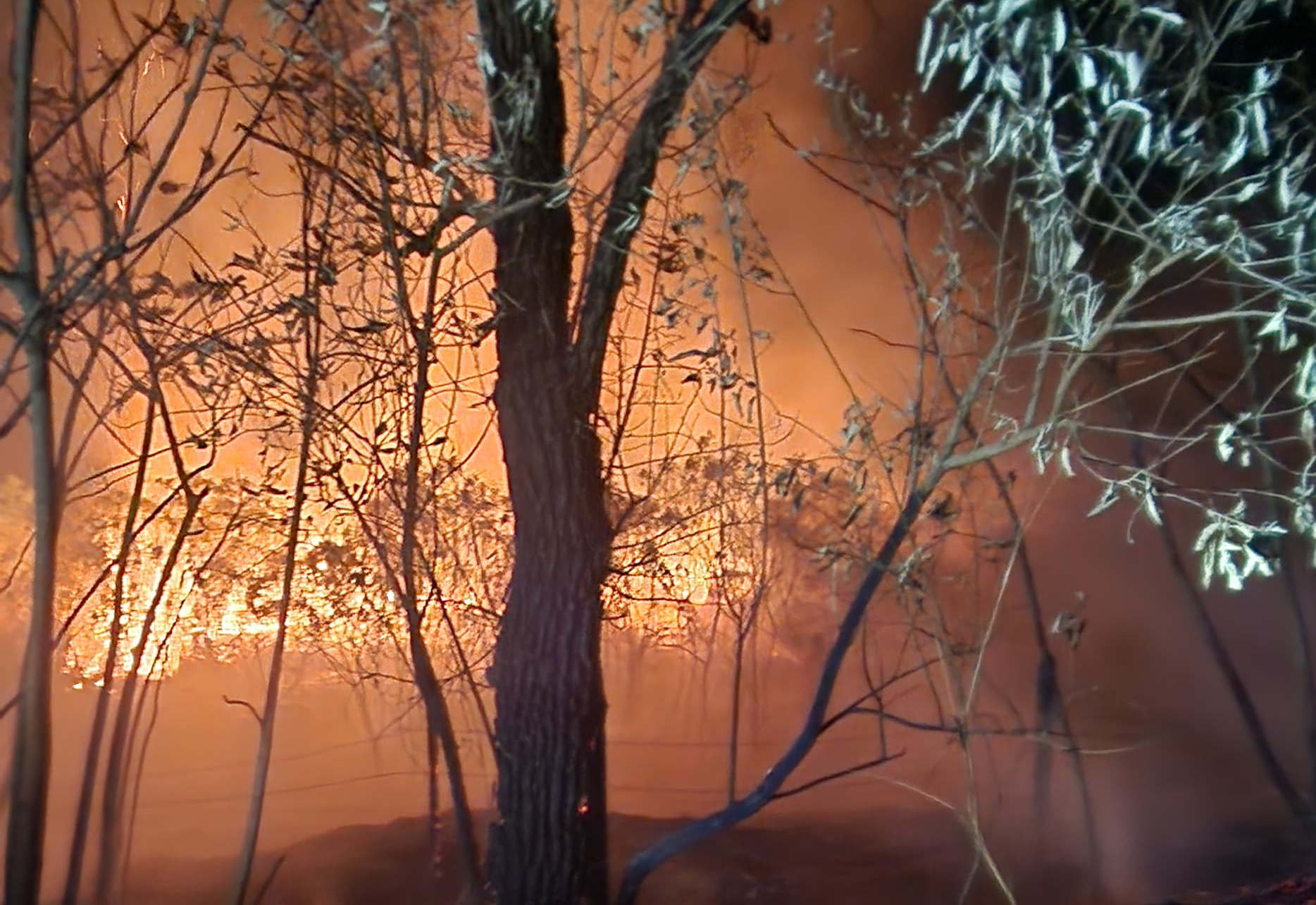 Defesa Civil combate três focos de incêndio em menos de 24 horas na vicinal sentido Tejupá