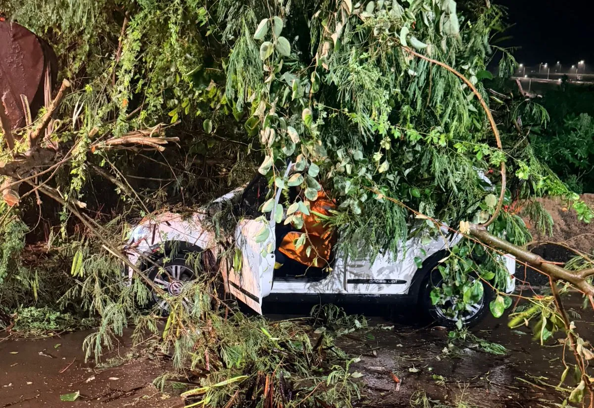 Chuva intensa provoca queda de árvores e mobiliza equipes da Defesa Civil de Taquarituba em diversos bairros