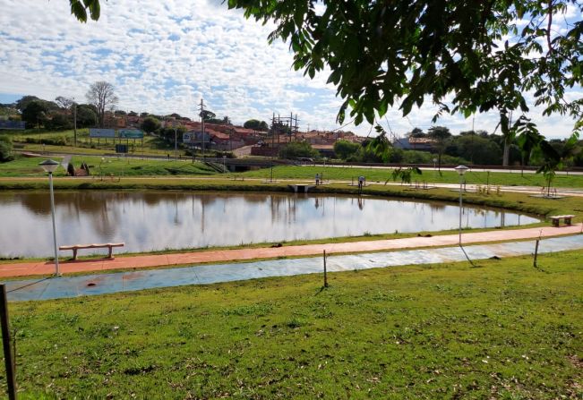 Plantio de mudas de árvores em comemoração ao Dia Mundial do Meio Ambiente