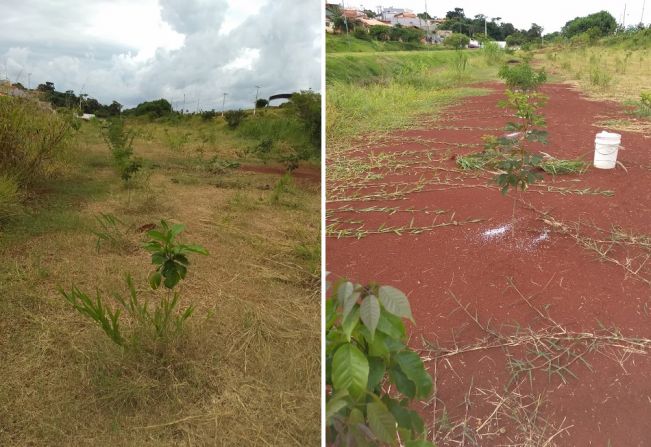 Equipe realiza limpeza de área de preservação permanente