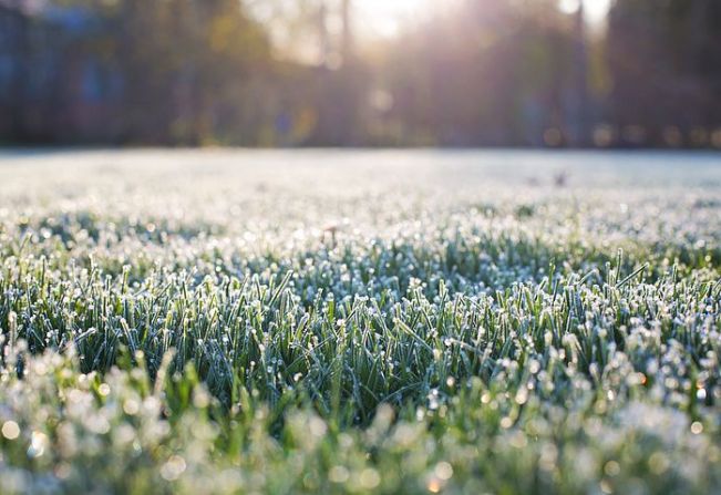 Agricultura, Abastecimento e Meio Ambiente e Defesa Civil alertam para frio intenso nos próximos dias